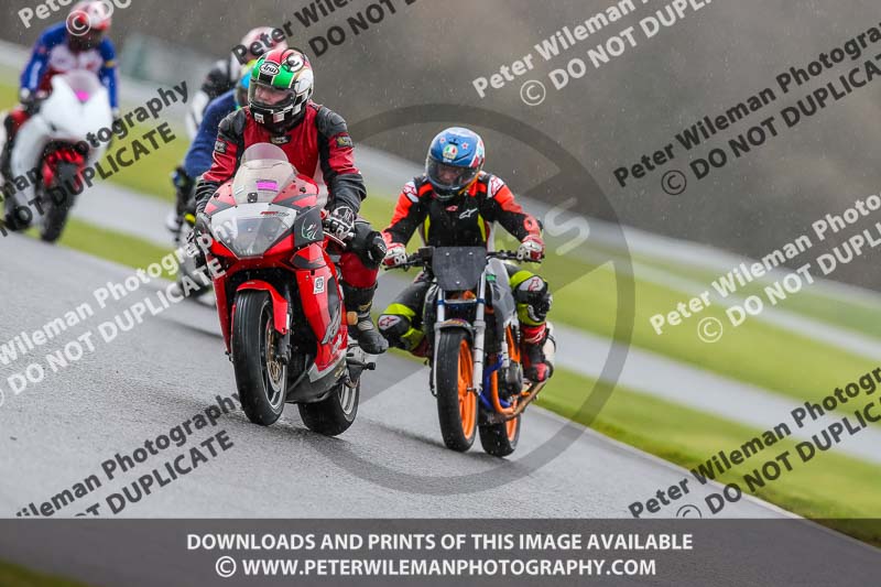 Oulton Park 14th March 2020;PJ Motorsport Photography 2020;anglesey;brands hatch;cadwell park;croft;donington park;enduro digital images;event digital images;eventdigitalimages;mallory;no limits;oulton park;peter wileman photography;racing digital images;silverstone;snetterton;trackday digital images;trackday photos;vmcc banbury run;welsh 2 day enduro